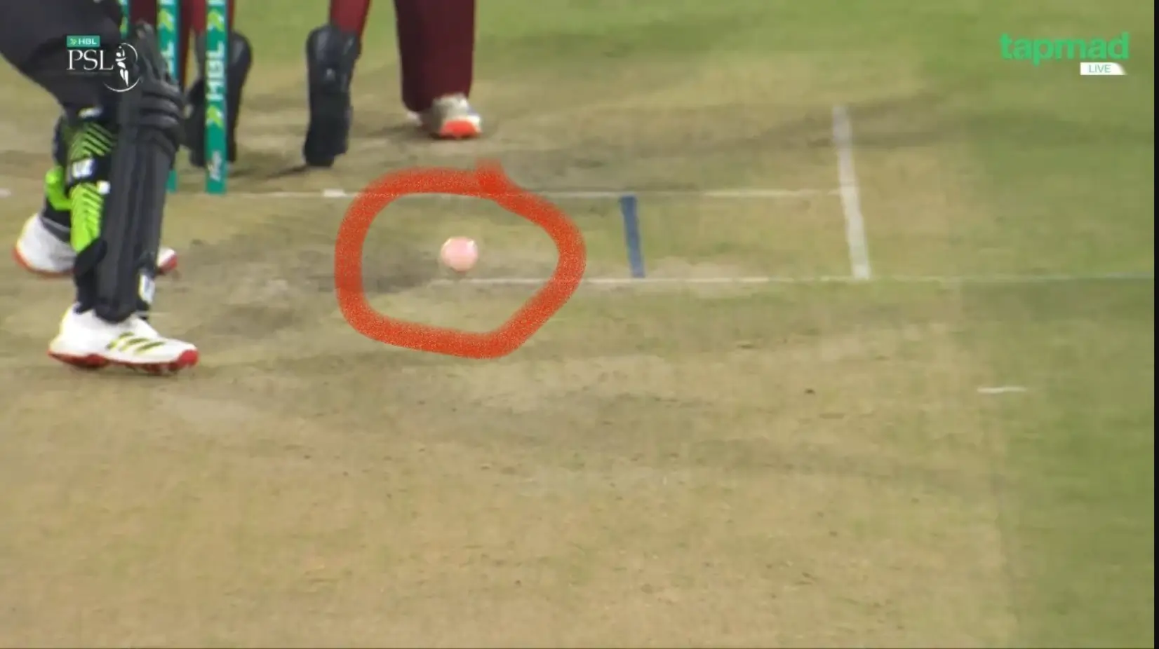 PSL pink ball controversy Pakistan Cricket Board embarrassed