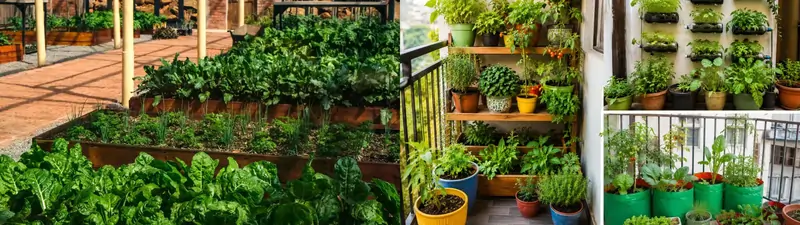 Gardening Tips kitchen Garden in Small Space Ghar Me Ugne Wali Sabzi