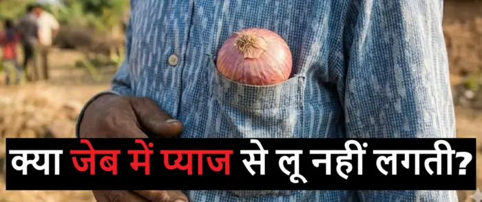 Can Onion Prevent Heat Stroke Heatwave Safety Tips